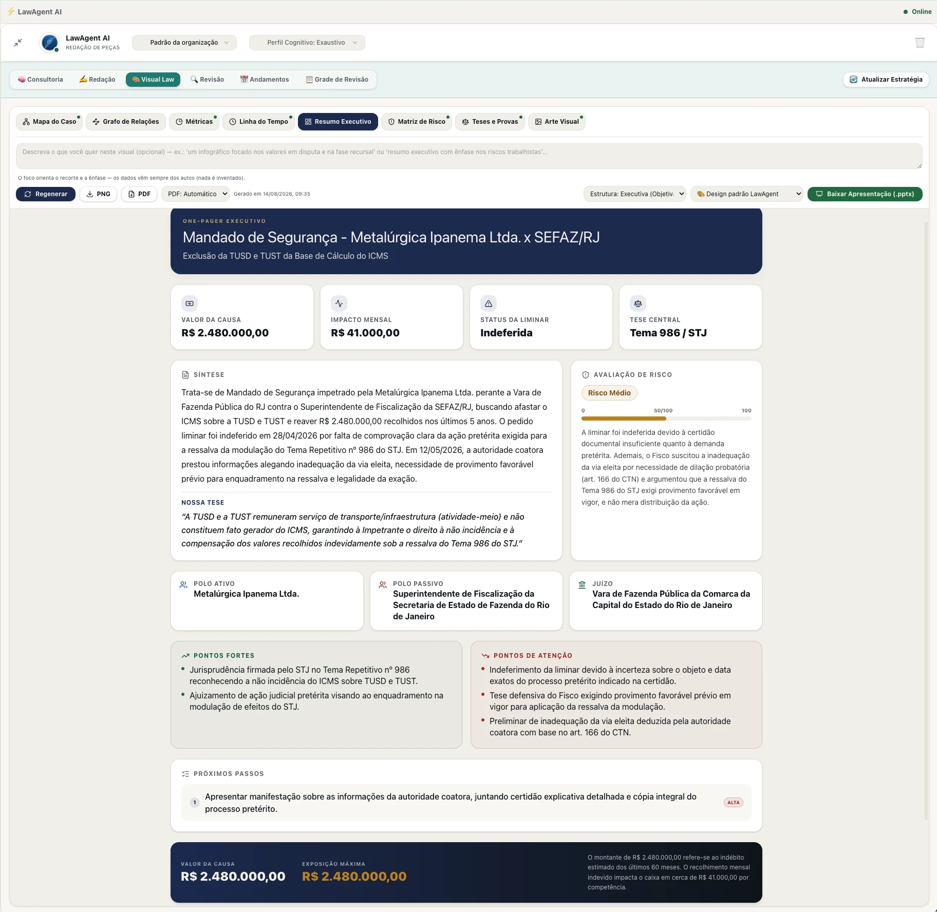 Resumo Executivo em formato one-pager, com síntese do caso, avaliação de risco, pontos fortes, pontos de atenção e próximos passos.